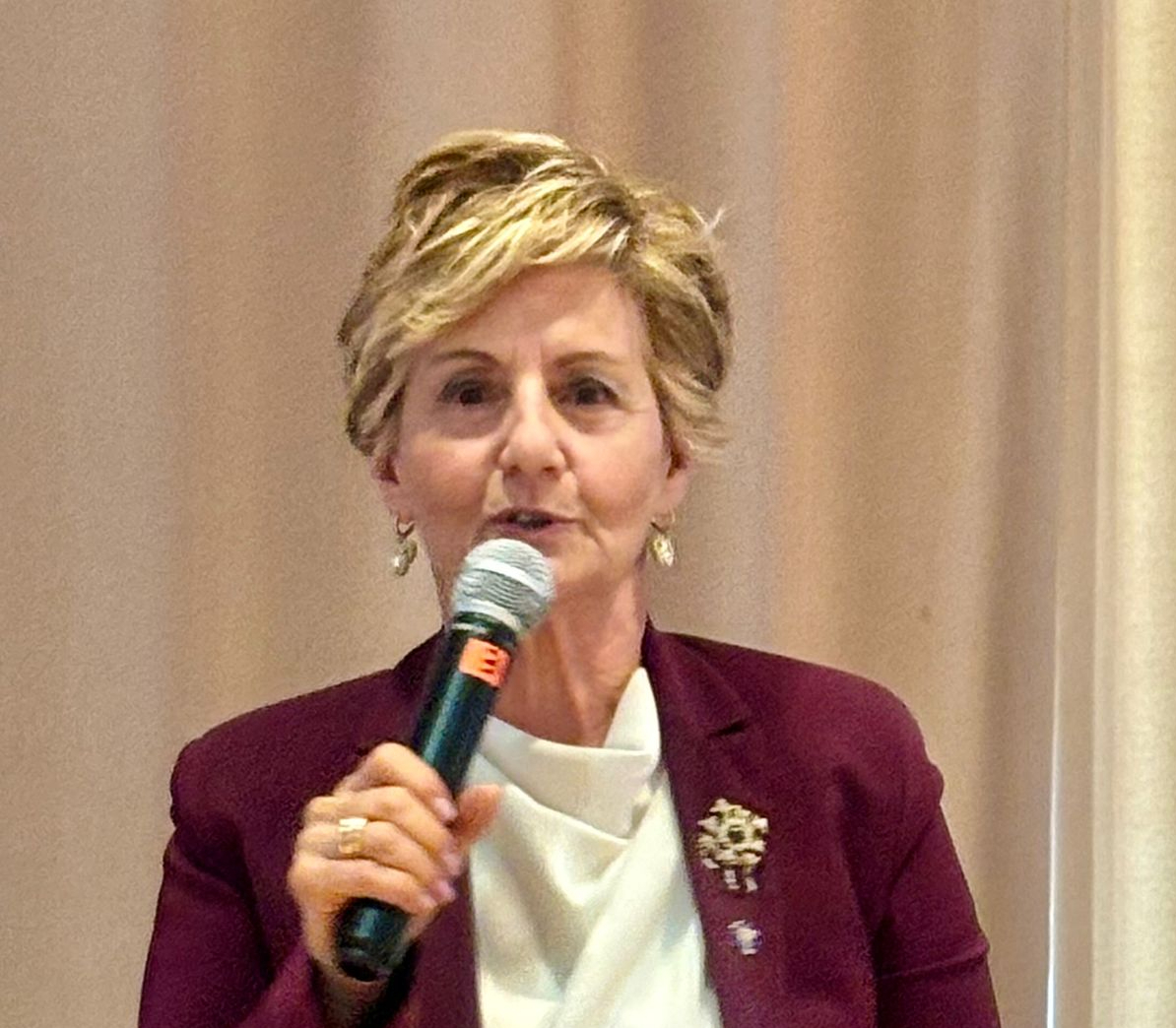 Fidapa: successo della serata sulla depressione