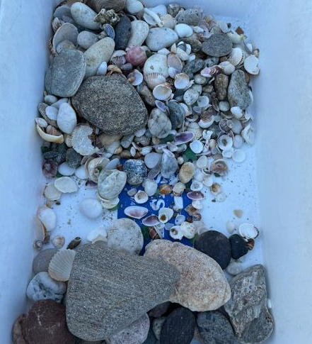 Conchiglie e sassi delle spiagge di Budoni pronti a prendere il largo