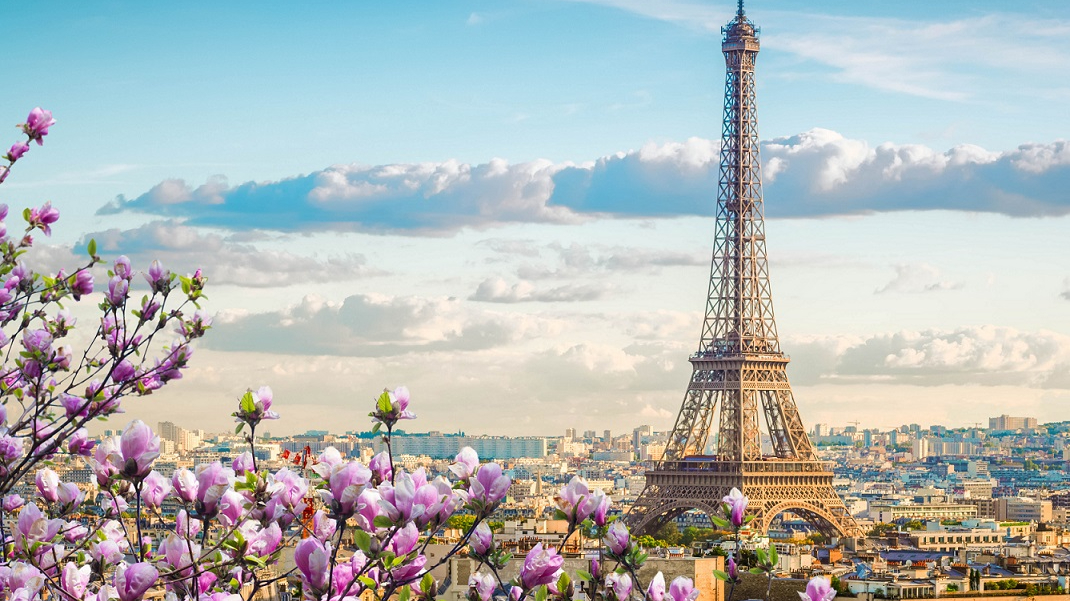 Noi italiani cugini dei francesi? Ma quando mai… Da noi, la protesta è come il canto delle cicale