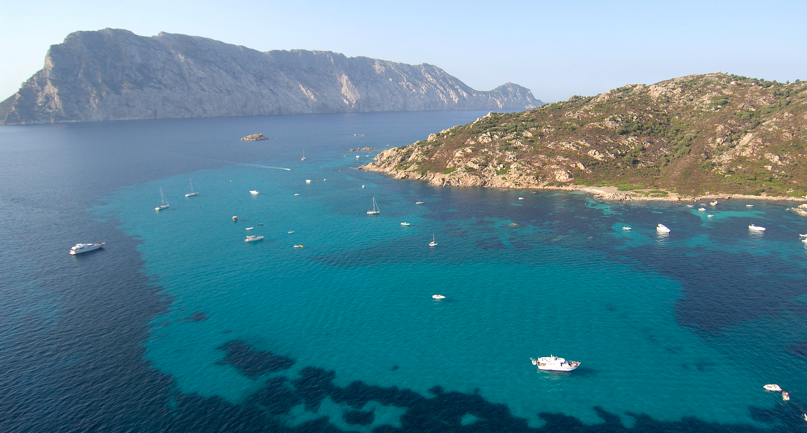 Area Marina Tavolara, vent’anni di studio della fauna ittica e dell’effetto riserva: lo stato di salute è ottimo
