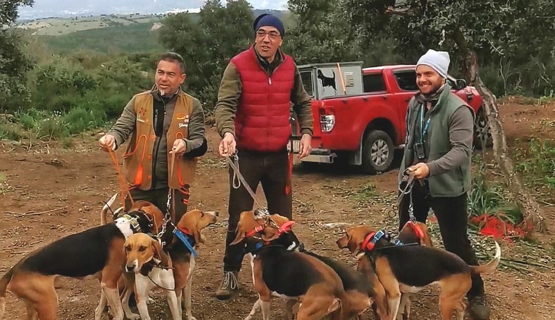 Campionato nazionale Federcaccia: a Oschiri grande successo alla Coppa Italia per cani specialisti in… cinghiali
