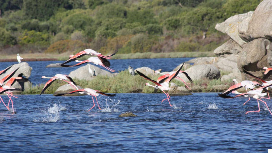 La Fidapa Olbia in trasferta a San Teodoro per celebrare le sue eccellenze ambientali
