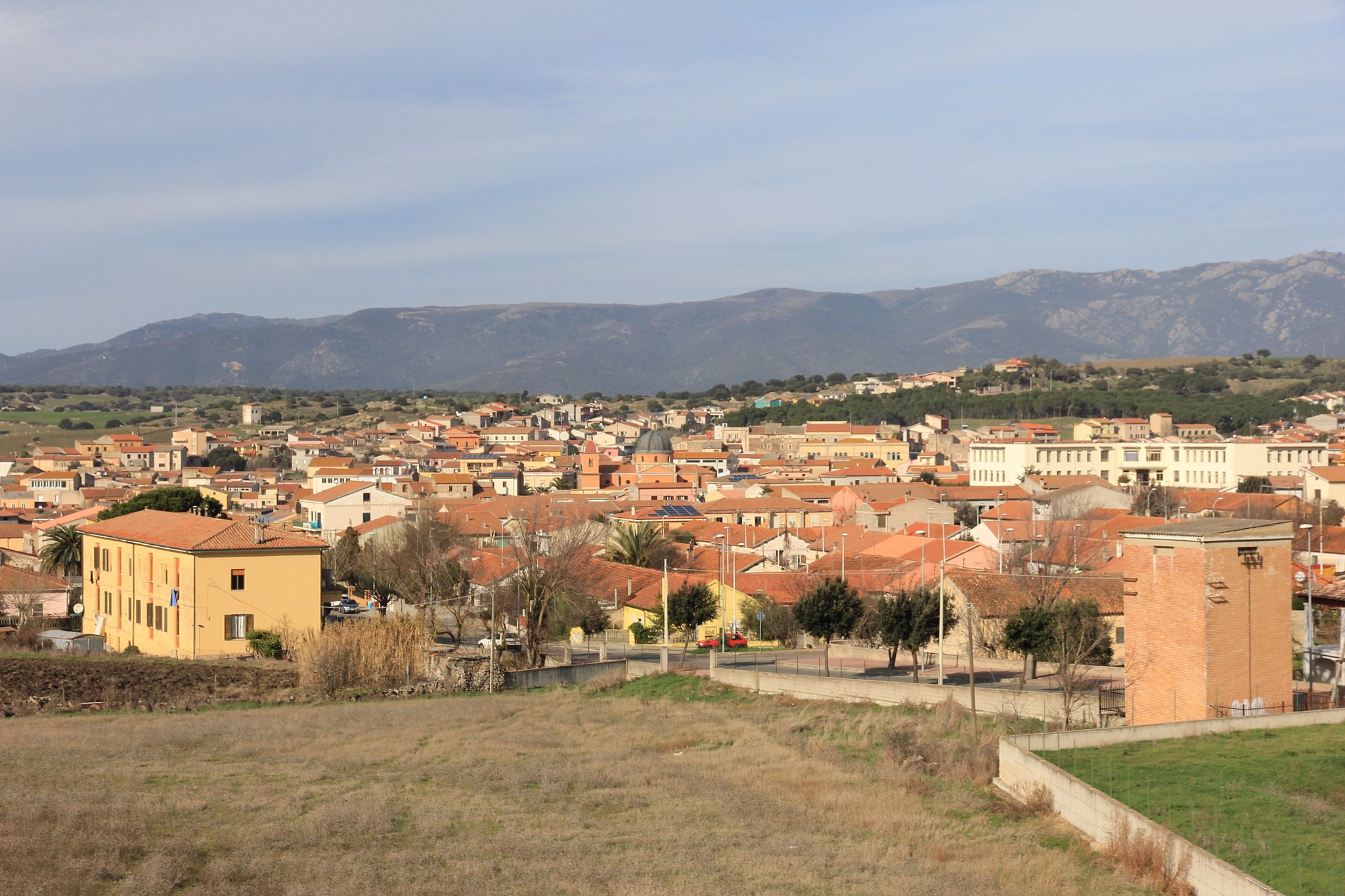 Cinofilia sportiva (bassotti e terrier), il territorio di Oschiri si rivela ideale per ospitare anche le prove di selezione mondiale